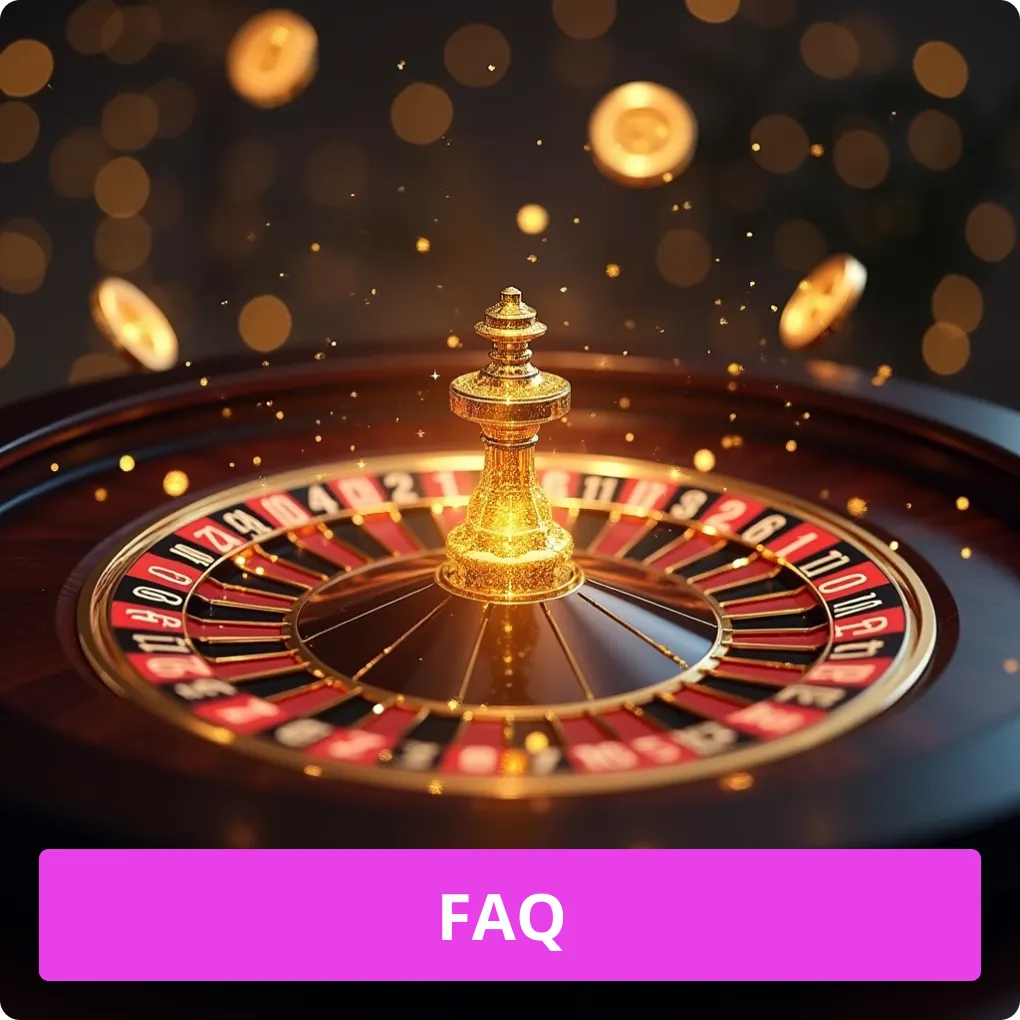 FAQ 자주 묻는 질문 모음 FAQ